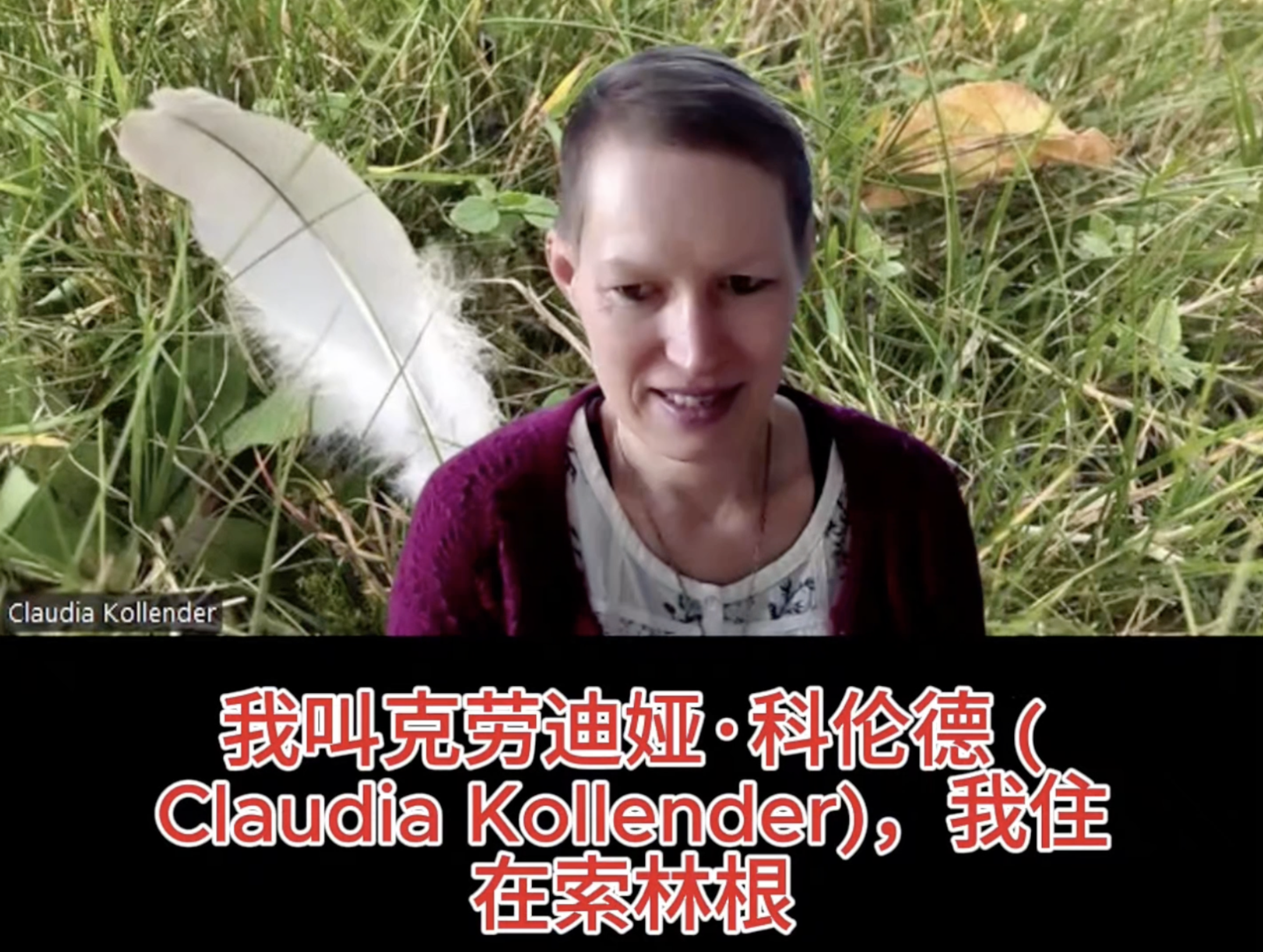 点击播放